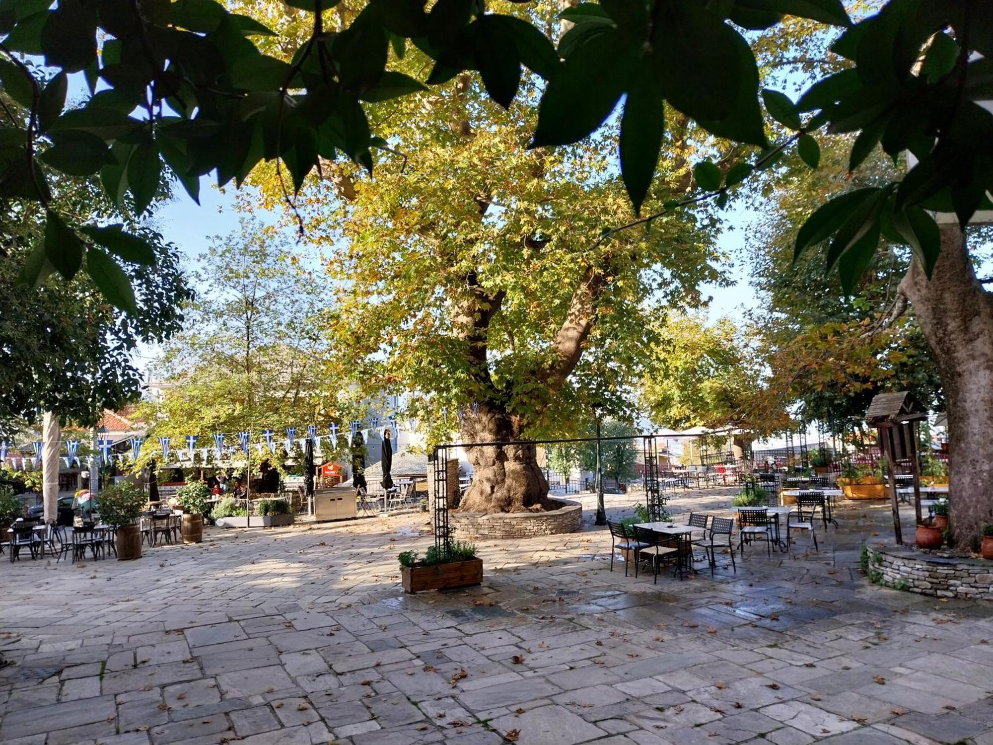 Marousos Central Guesthouse Portaria  Ngoại thất bức ảnh